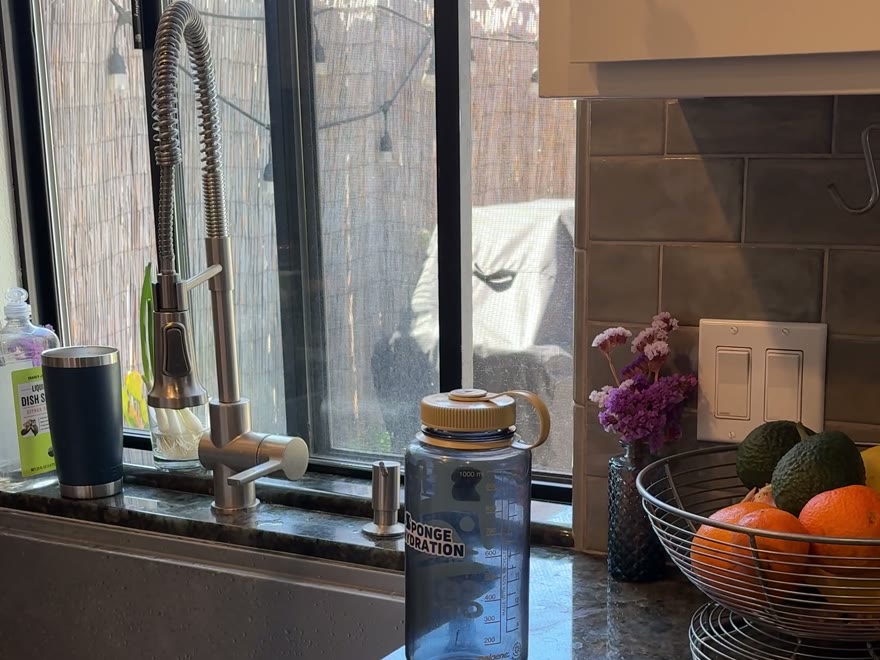 Water bottles with the Sponge tracker on a sunny kitchen counter